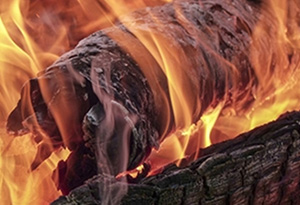 文件销毁全流程表格使用指南